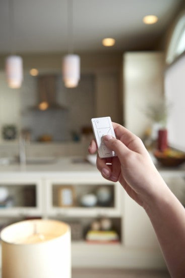 Lutron Pico Remote Control + Installation
